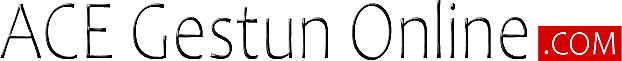 ACE Gestun Online
